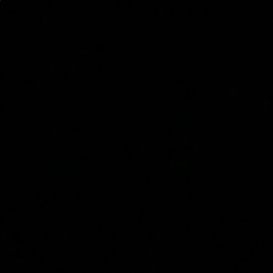 Meet your Posher, Alisa